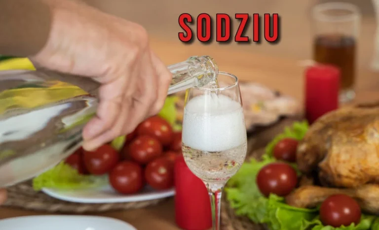 Sodziu: Meaning, Life Use, and Why People Care 5 sodziu