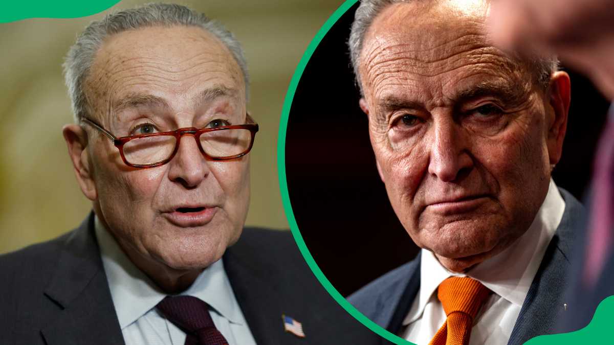 Chuck schumer wife net worth